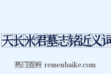 天长米君墓志铭近义词是什么意思的图片